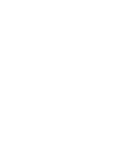 Fried Chicken Festival